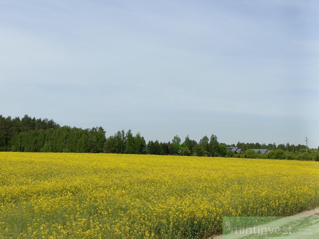 Działki pod zabudowę blisko lasu (6)