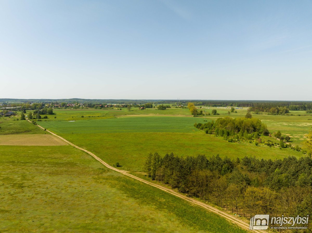 Rolna, idealna pod fotowoltaikę - 1,5202 ha (14)