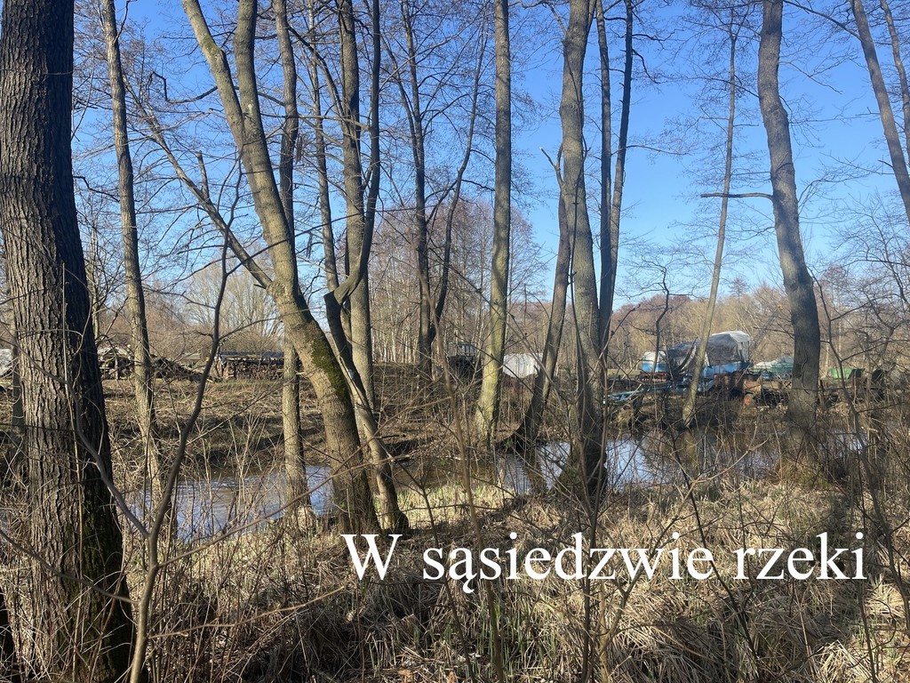 Działka nad rzeką, Mieszewo, Zachodniopomorskie (8)