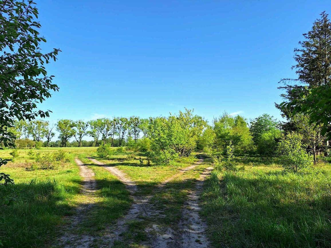 Dom, 100 m2, Żarnowo  (12)