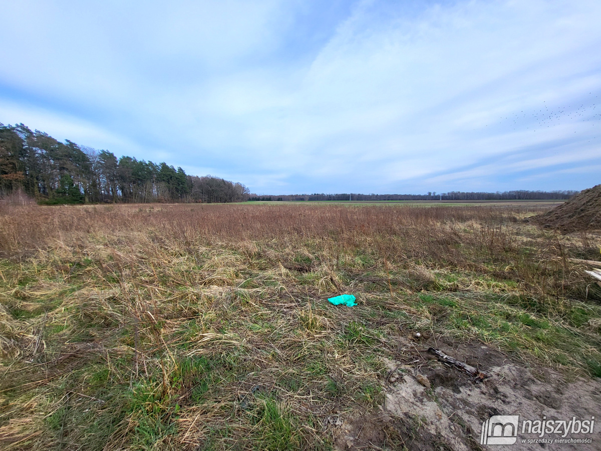 Nowogard - obrzeża, miejscowy plan (8)