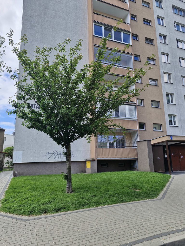 Mieszkanie z widokiem na panoramę Szczecina (1)