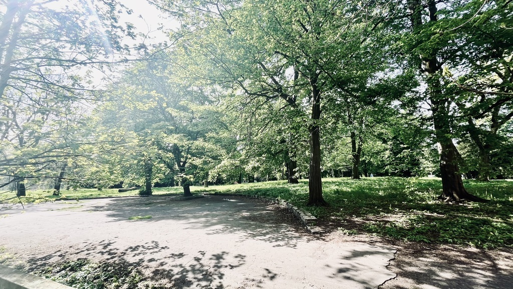 Duża kawalerka z widokiem na park (9)