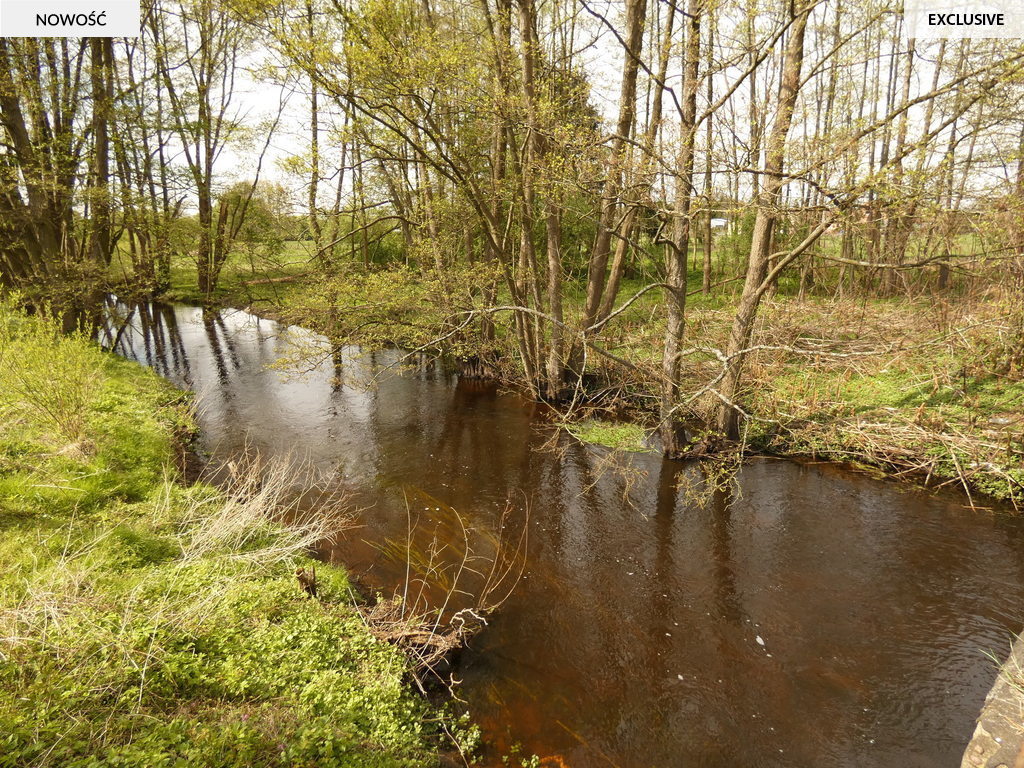 Dom z naturalną klimatyzacją (4)