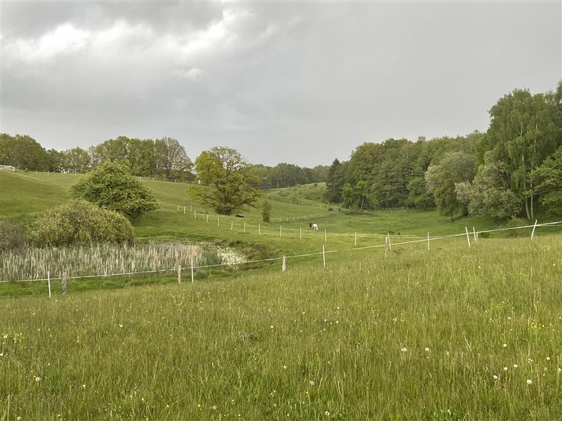 Działka, Rakowo Rakowo Jezioro, Las (2)