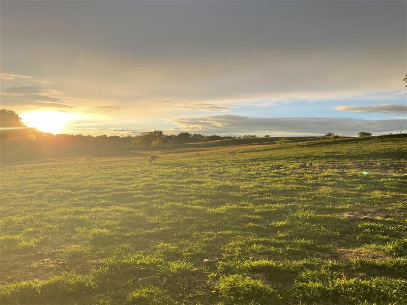 Działka, Rakowo Rakowo Jezioro, Las (3)