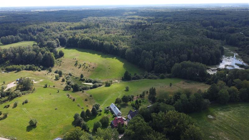 Działka, Rakowo Rakowo Jezioro, Las (5)