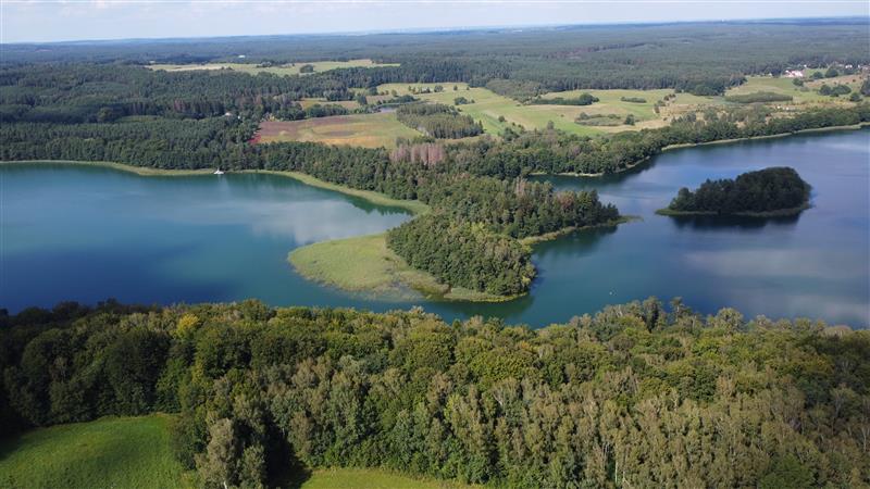 Działka, Rakowo Rakowo Jezioro, Las (9)