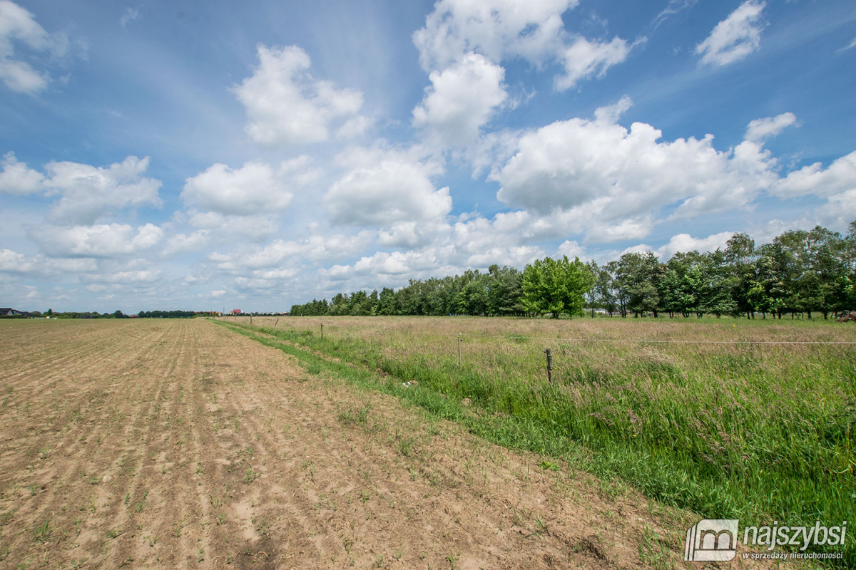 Nowogard - działka 7860m2 z dostępem do drogi public (3)