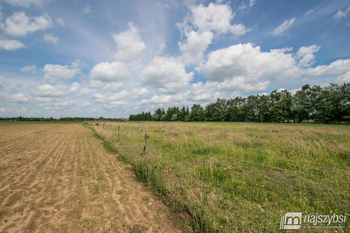 Nowogard - działka 7860m2 z dostępem do drogi public (9)