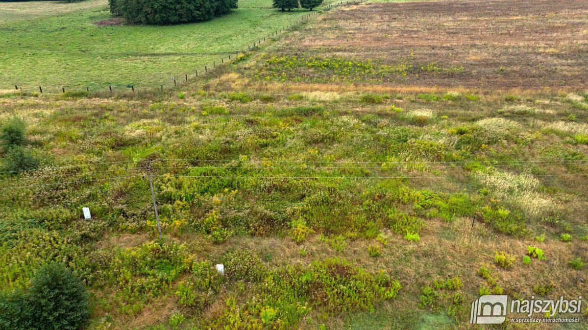 Stargard - działka pod miastem 1541 m2 (4)