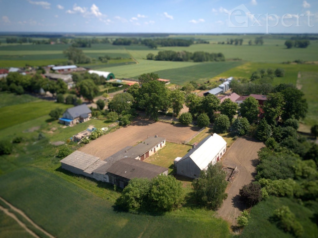 Lucin - dom - gospodarstwo rolne 32.500 m2 (4)