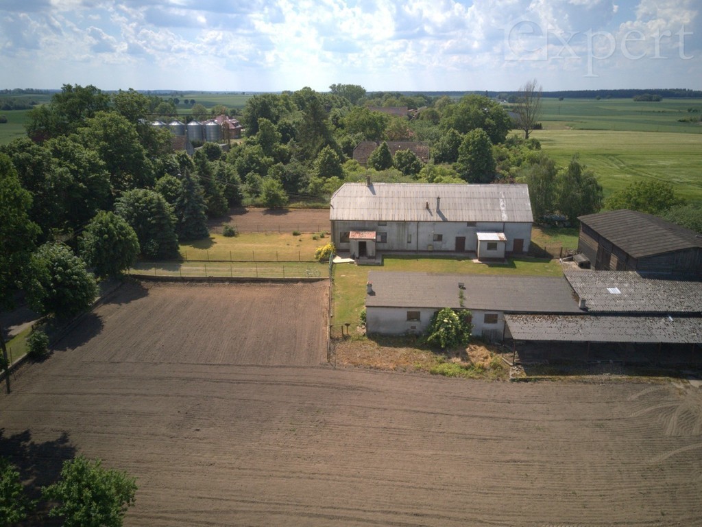 Lucin - dom - gospodarstwo rolne 32.500 m2 (6)