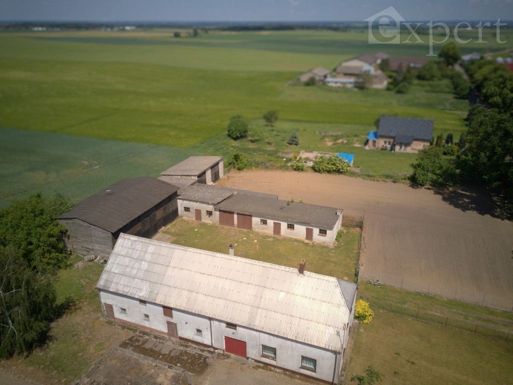 Lucin - dom - gospodarstwo rolne 32.500 m2 (7)