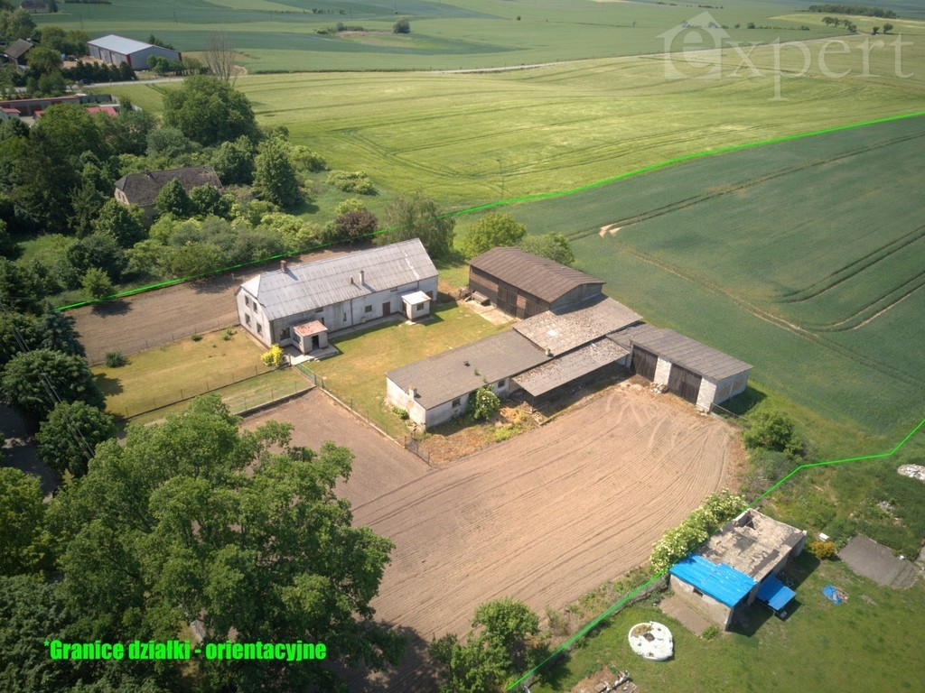 Lucin - dom - gospodarstwo rolne 32.500 m2 (14)
