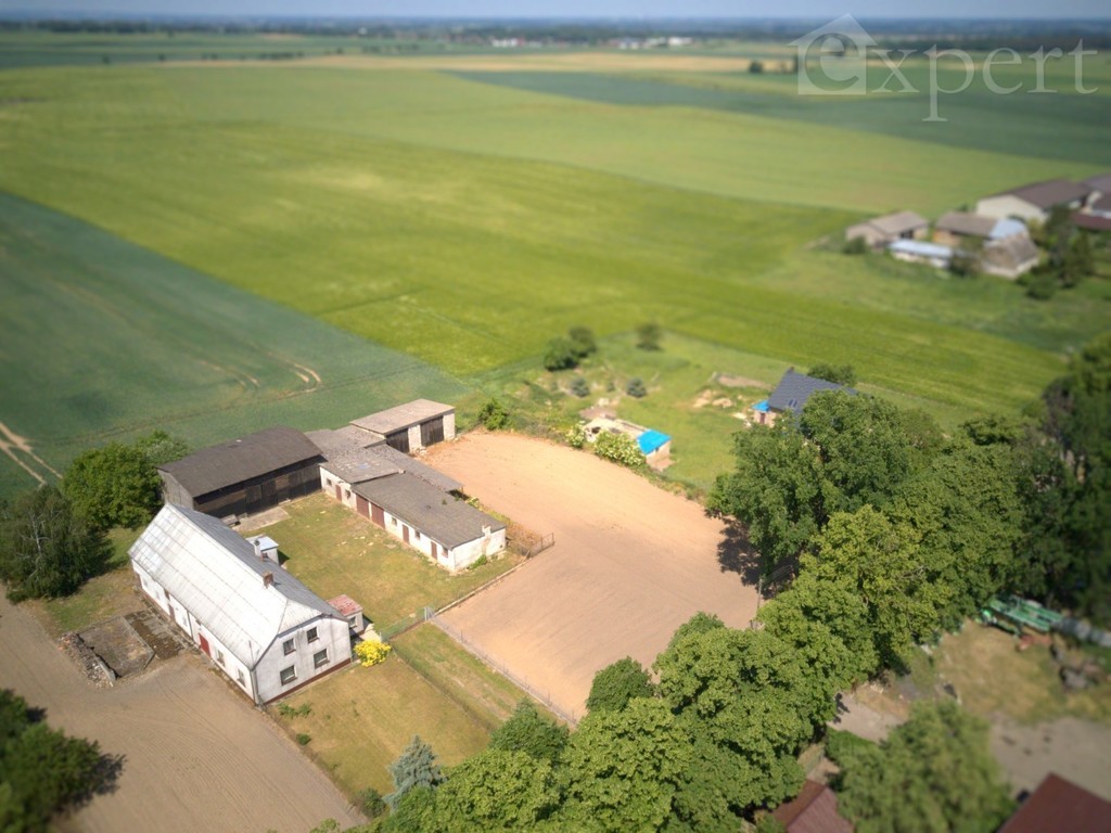 Lucin - dom - gospodarstwo rolne 32.500 m2 (15)