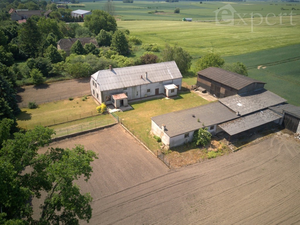 Lucin - dom - gospodarstwo rolne 32.500 m2 (16)