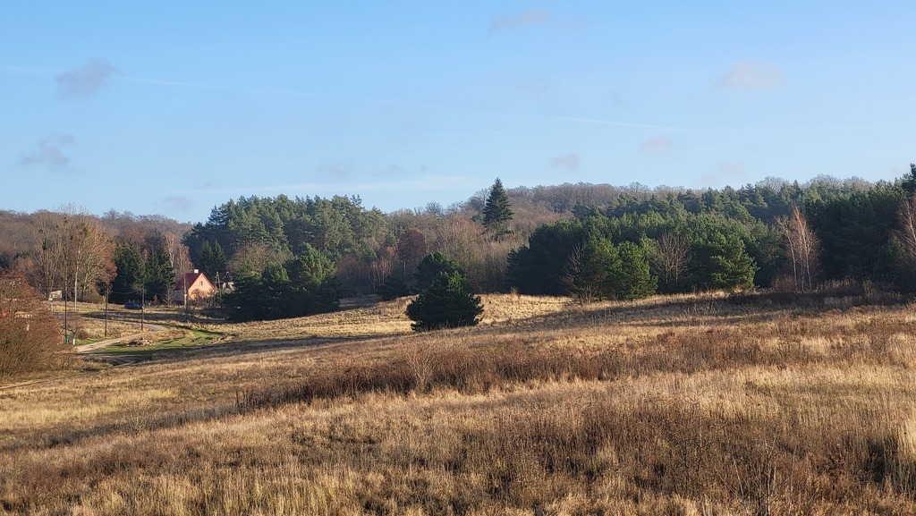 DZIAŁKA pod OSIEDLE DOMÓW JEDNORODZINNYCH (4)