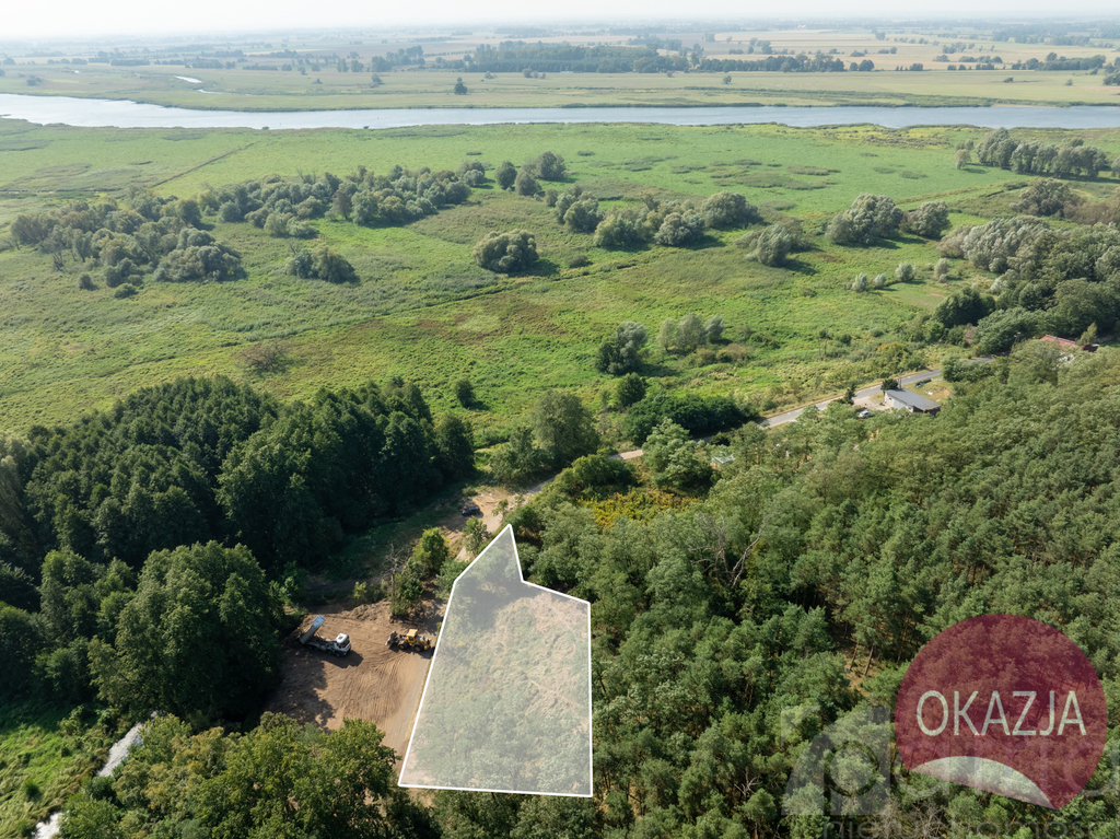 Działka w otulinie lasu nieopodal Odry (2)