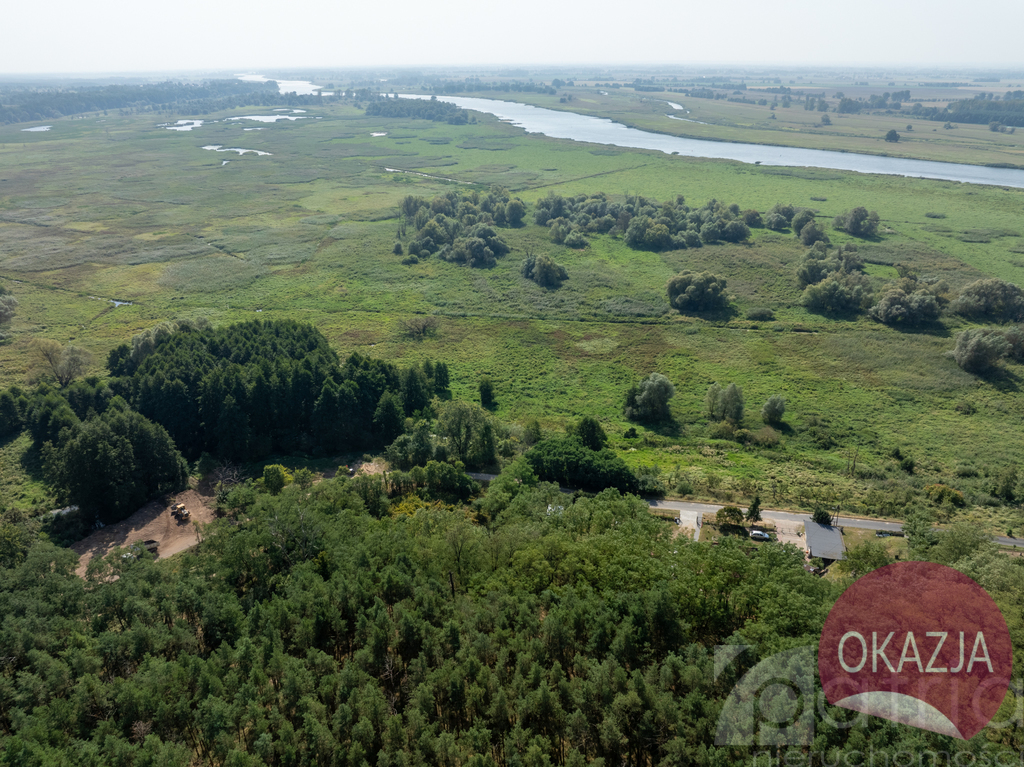 Działka w otulinie lasu nieopodal Odry (13)