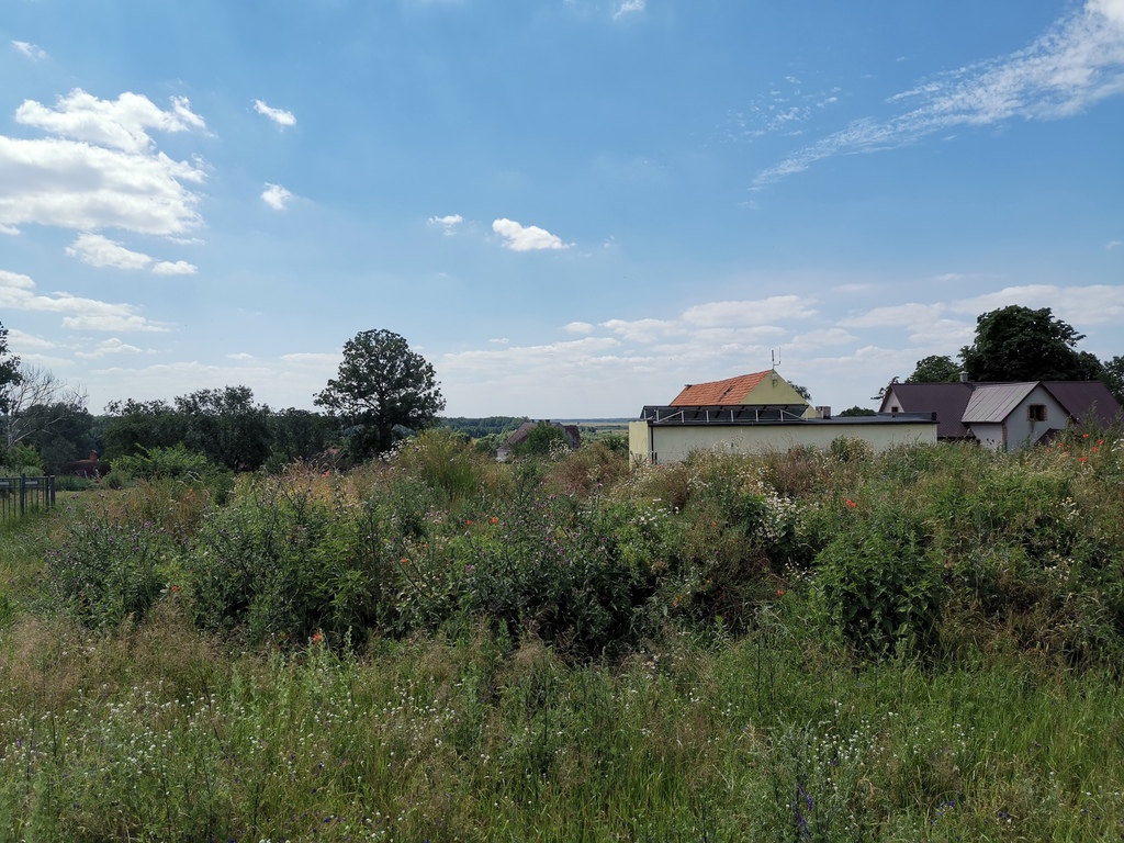 Skoszewo, działka na wzniesieniu. (3)