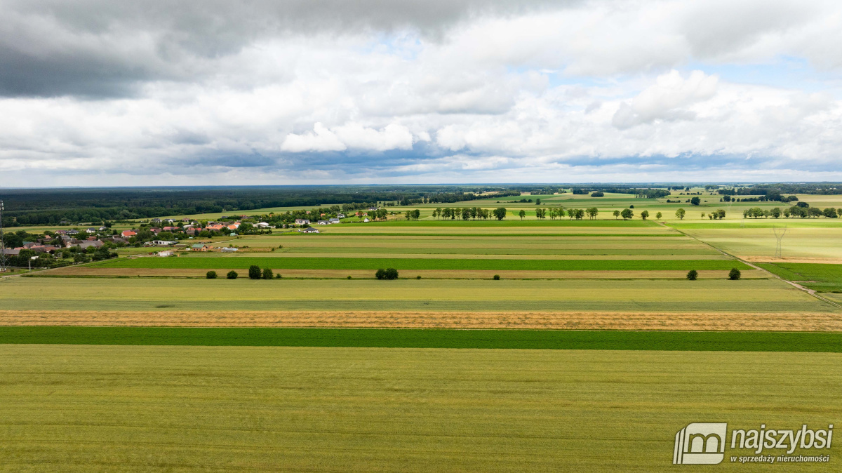 Działka, Maszewo  (11)