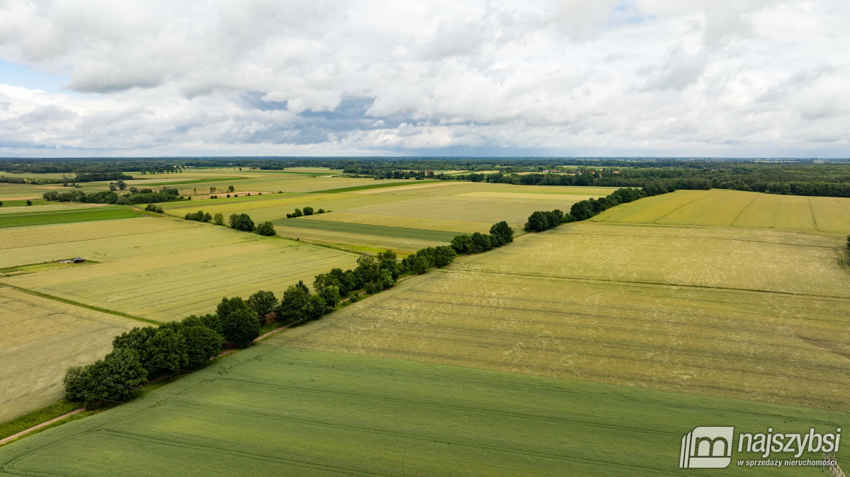 Działka, Maszewo  (8)