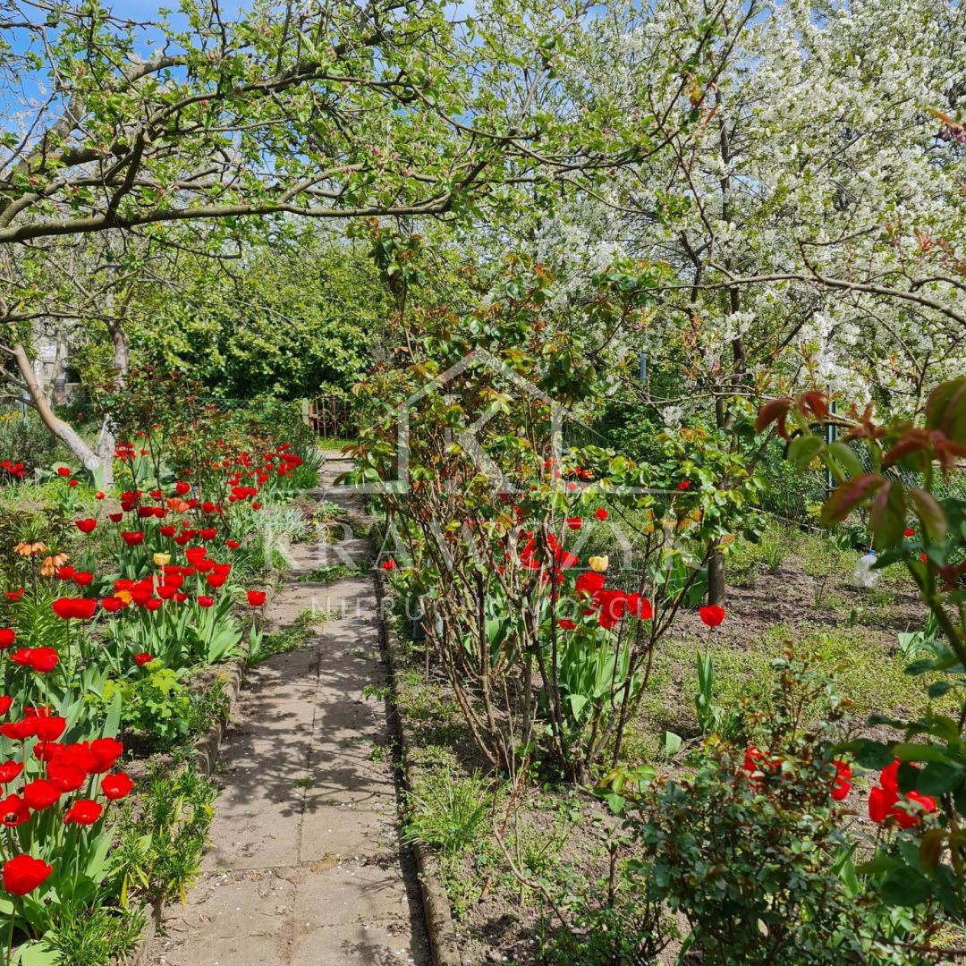 Działka, Szczecin Niebuszewo (6)