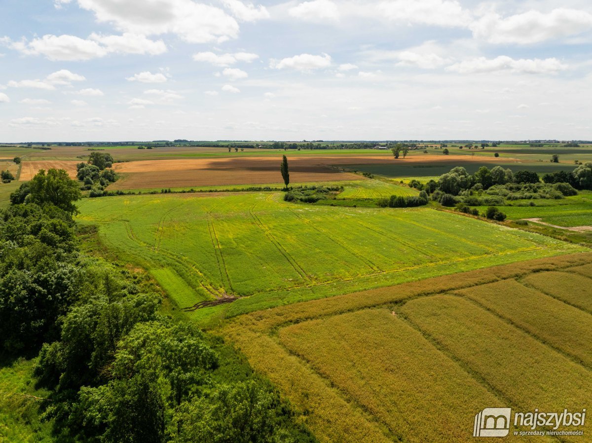 Obromino - działka rolna powierzchnia 2,17 ha. (10)