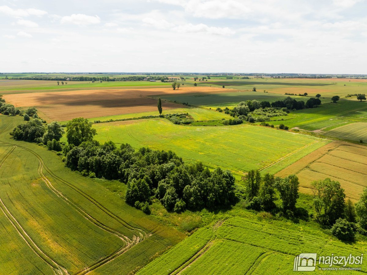 Obromino - działka rolna powierzchnia 2,17 ha. (11)