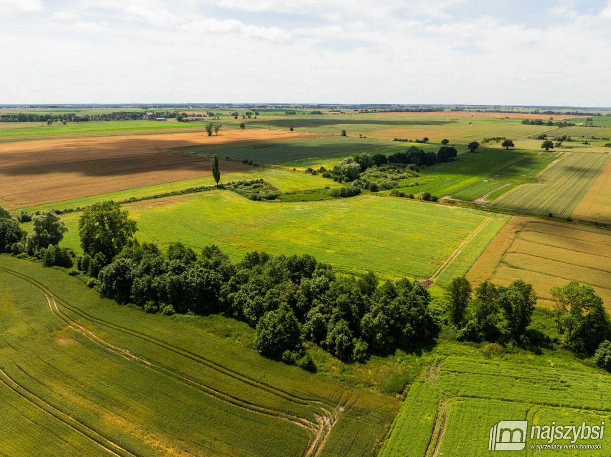 Obromino - działka rolna powierzchnia 2,17 ha. (12)