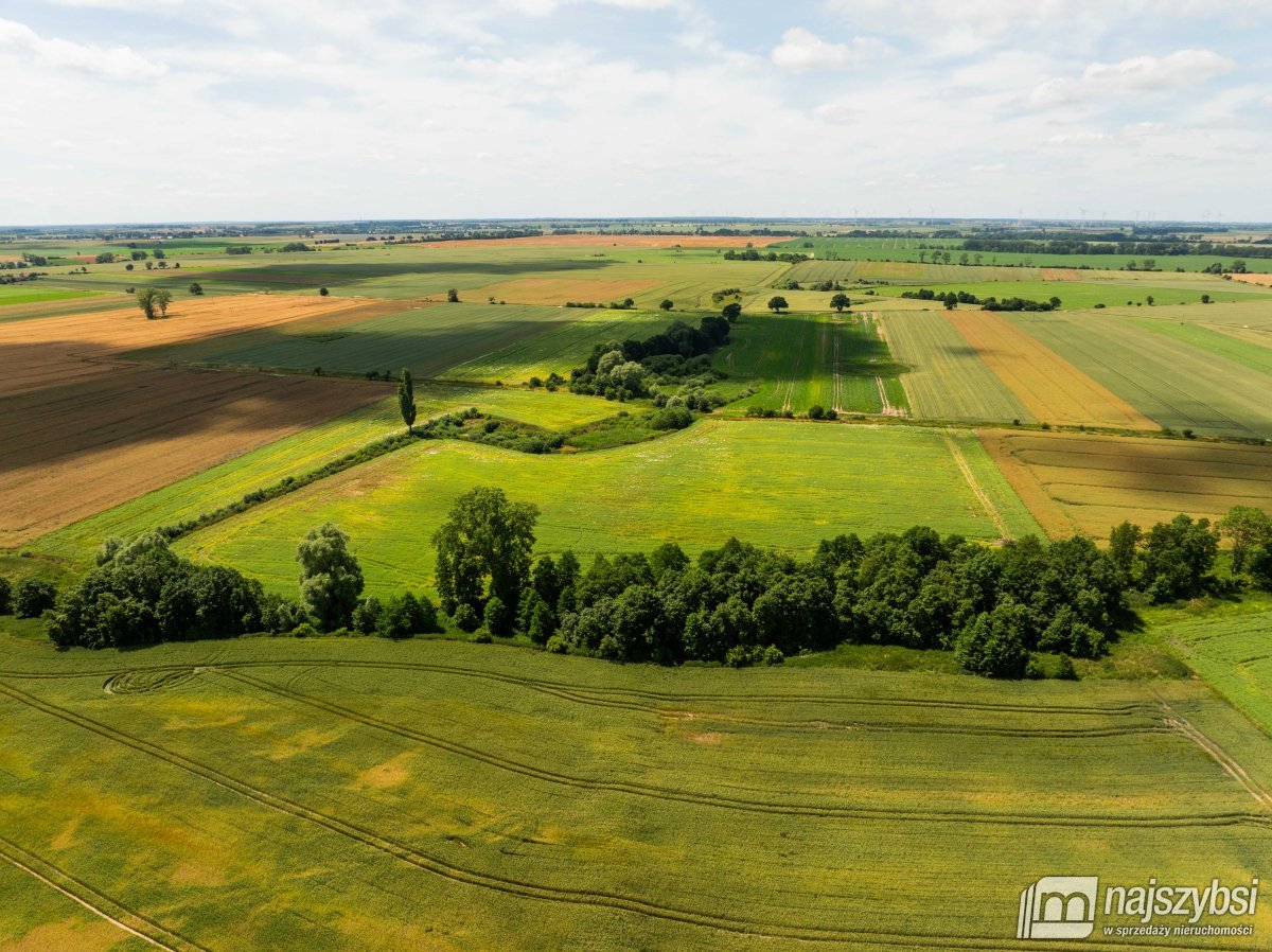 Obromino - działka rolna powierzchnia 2,17 ha. (13)