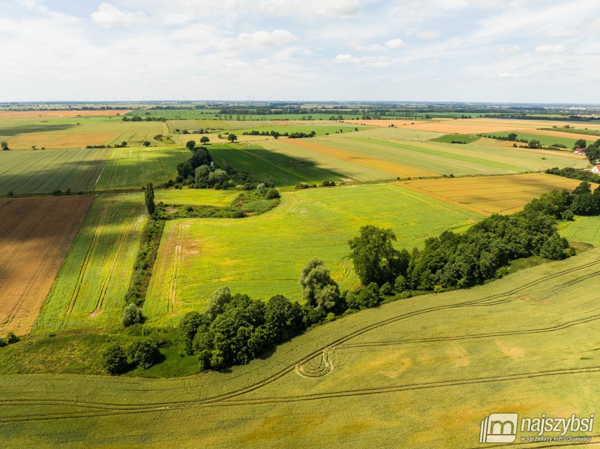 Obromino - działka rolna powierzchnia 2,17 ha. (14)