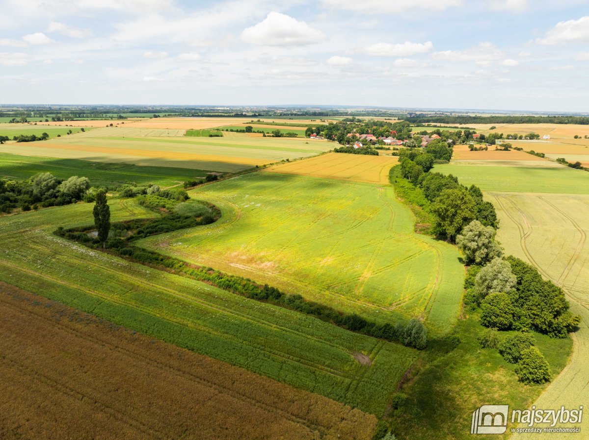 Obromino - działka rolna powierzchnia 2,17 ha. (15)