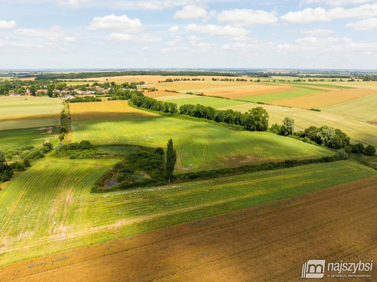 Obromino - działka rolna powierzchnia 2,17 ha. (16)