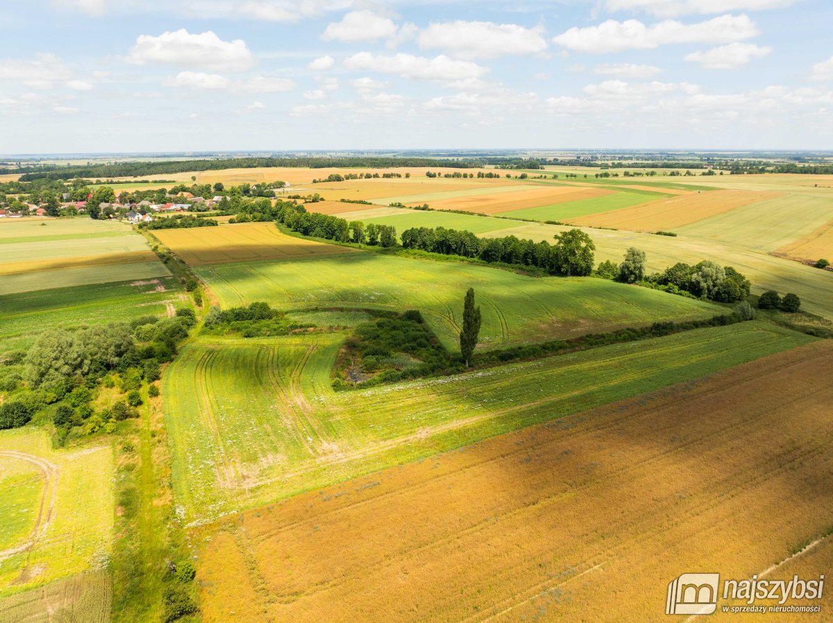 Obromino - działka rolna powierzchnia 2,17 ha. (17)