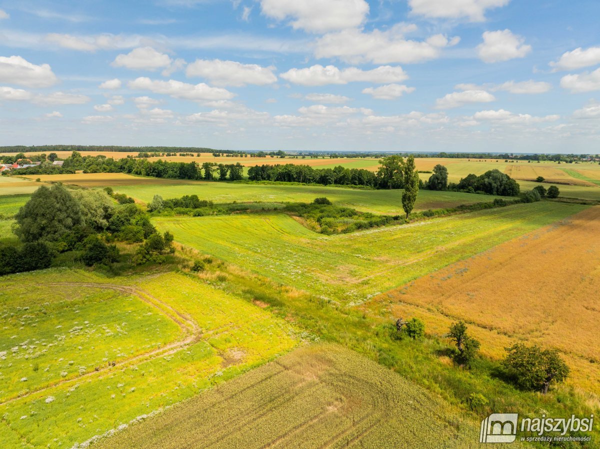 Obromino - działka rolna powierzchnia 2,17 ha. (18)