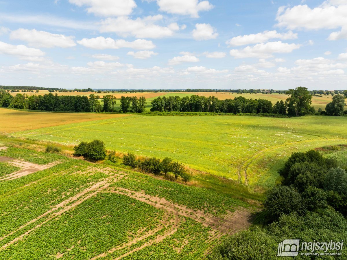 Obromino - działka rolna powierzchnia 2,17 ha. (19)