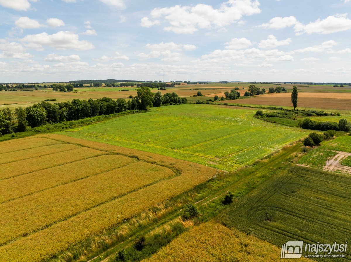 Obromino - działka rolna powierzchnia 2,17 ha. (3)