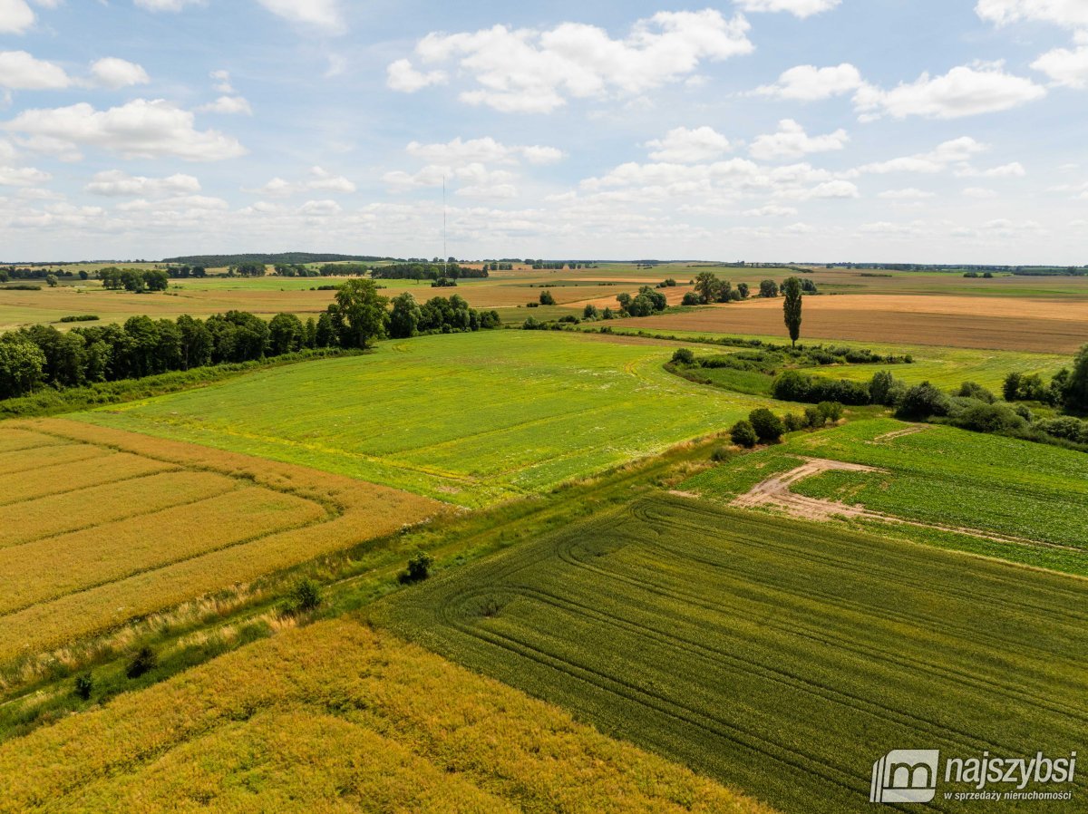 Obromino - działka rolna powierzchnia 2,17 ha. (4)