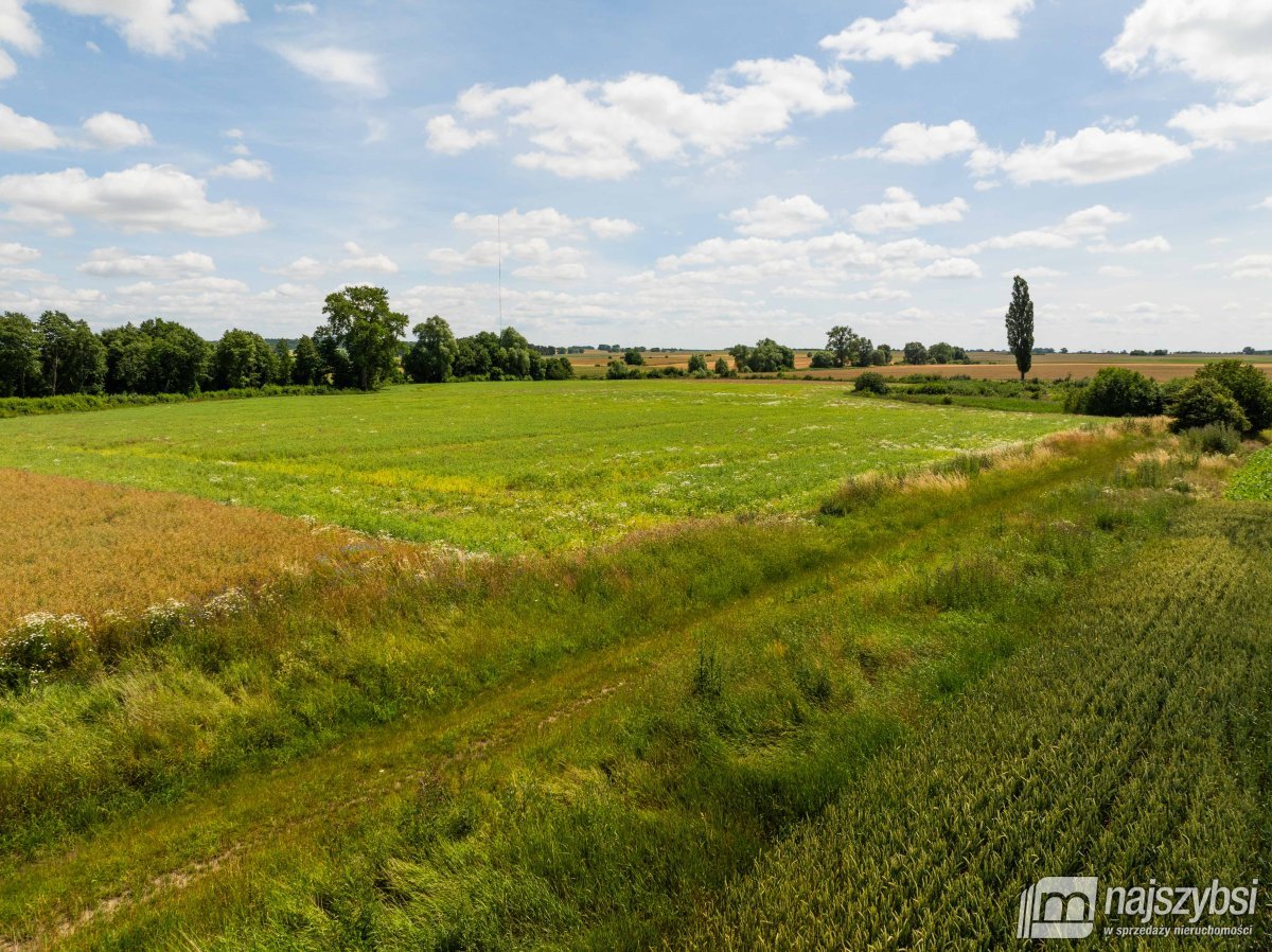 Obromino - działka rolna powierzchnia 2,17 ha. (5)