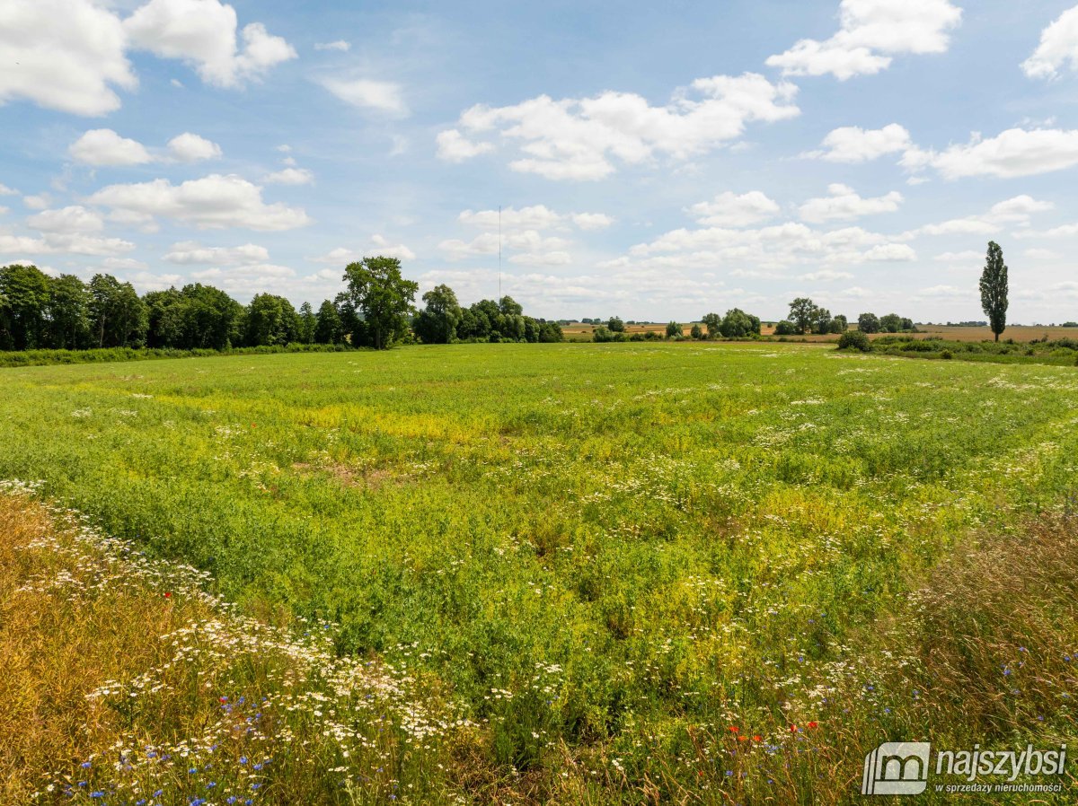 Obromino - działka rolna powierzchnia 2,17 ha. (6)