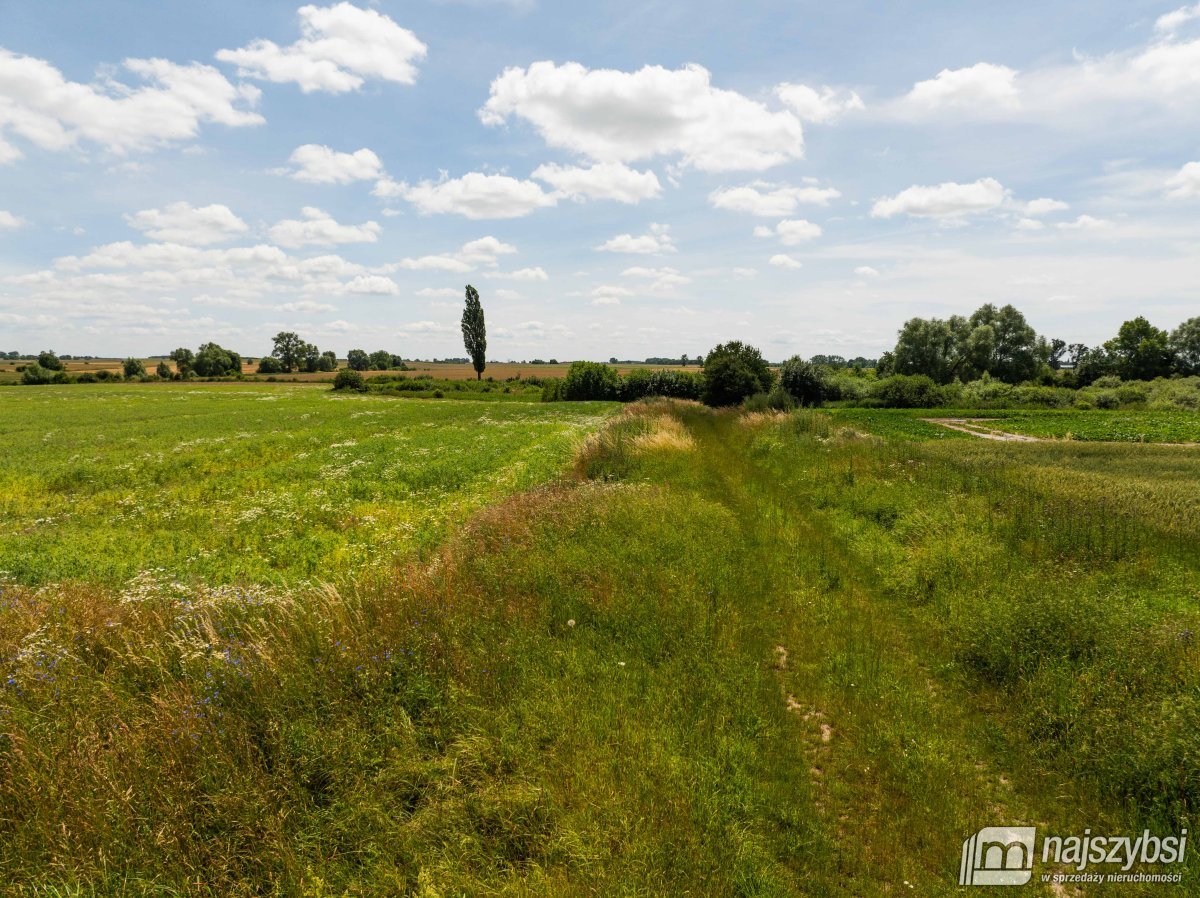 Obromino - działka rolna powierzchnia 2,17 ha. (7)