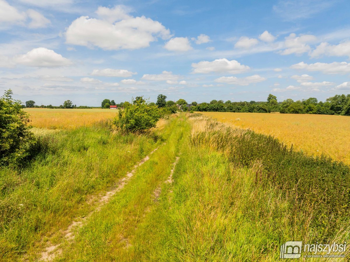 Obromino - działka rolna powierzchnia 2,17 ha. (8)