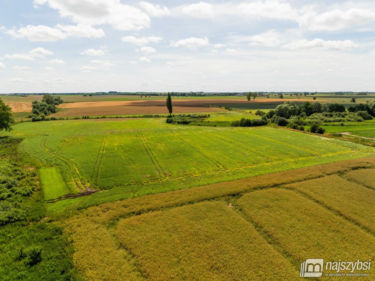 Obromino - działka rolna powierzchnia 2,17 ha. (9)