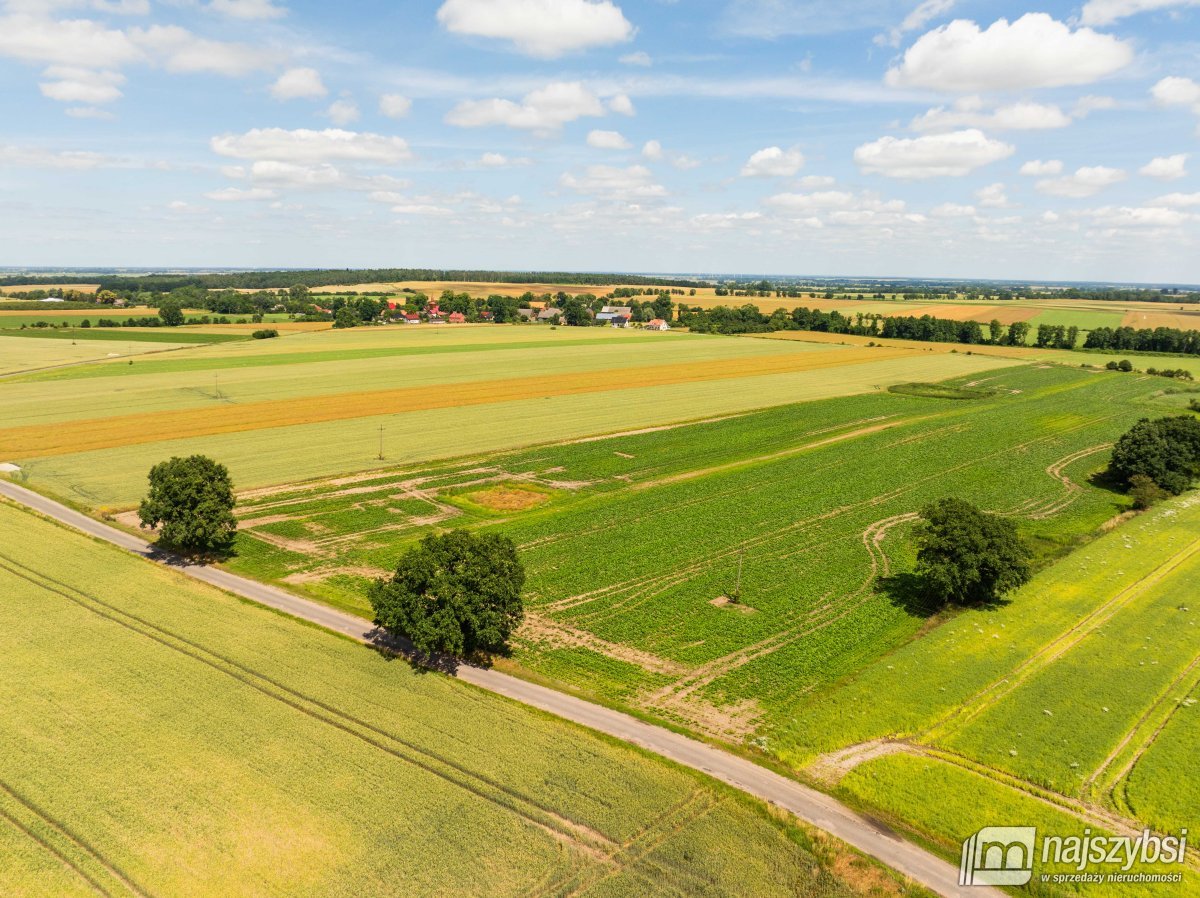 Obromino - działka rolna 158- powierzchnia 2,32 ha (10)