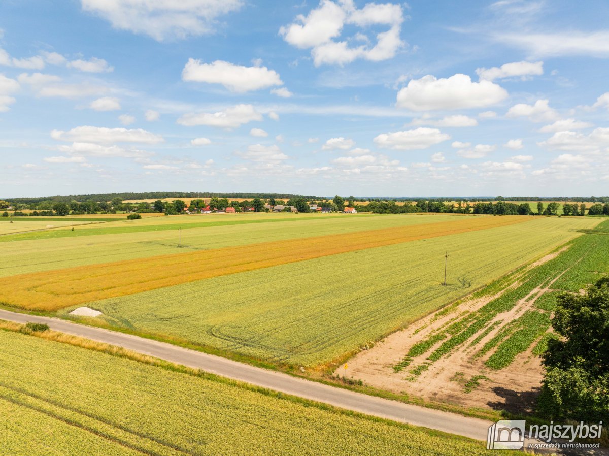 Obromino - działka rolna 158- powierzchnia 2,32 ha (11)