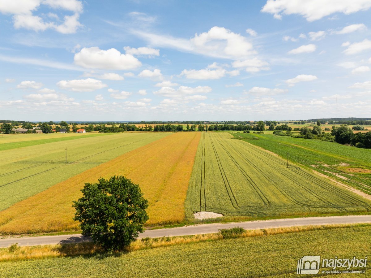 Obromino - działka rolna 158- powierzchnia 2,32 ha (12)