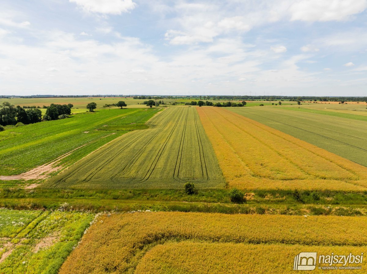 Obromino - działka rolna 158- powierzchnia 2,32 ha (3)