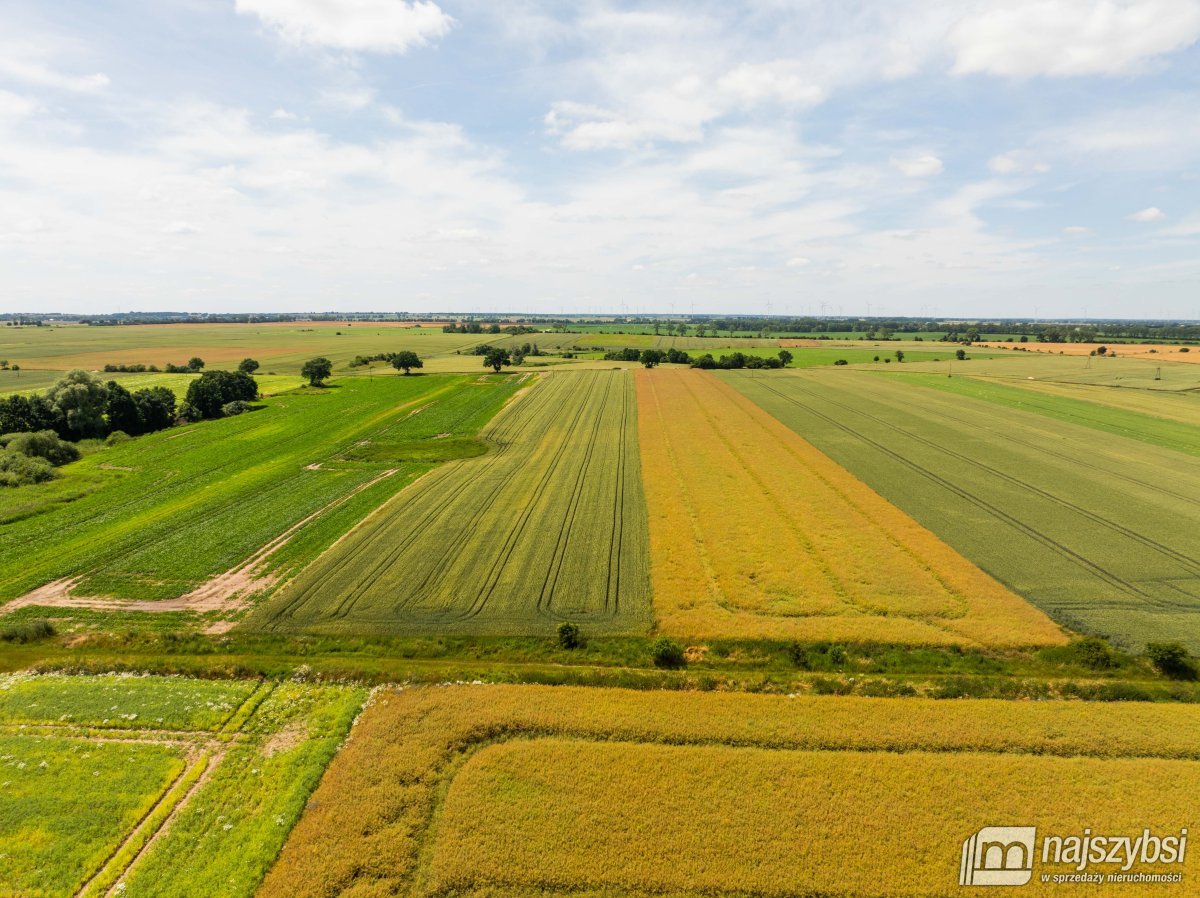 Obromino - działka rolna 158- powierzchnia 2,32 ha (5)